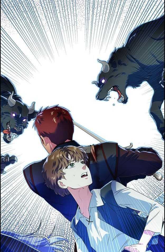 41