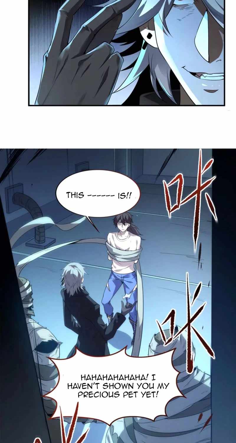 41