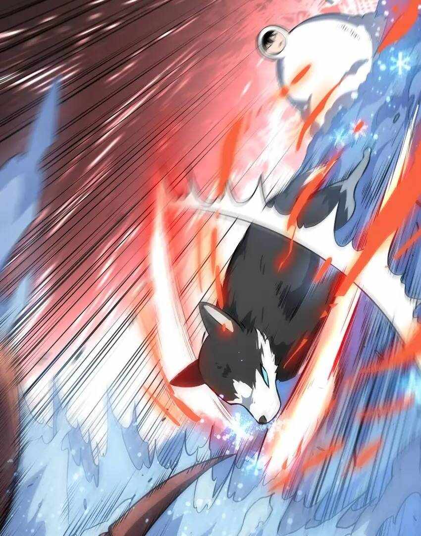53