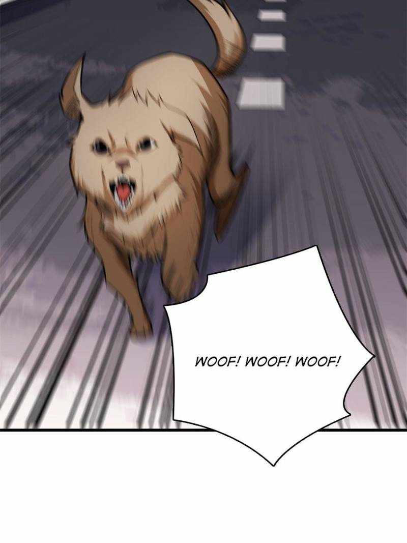 46