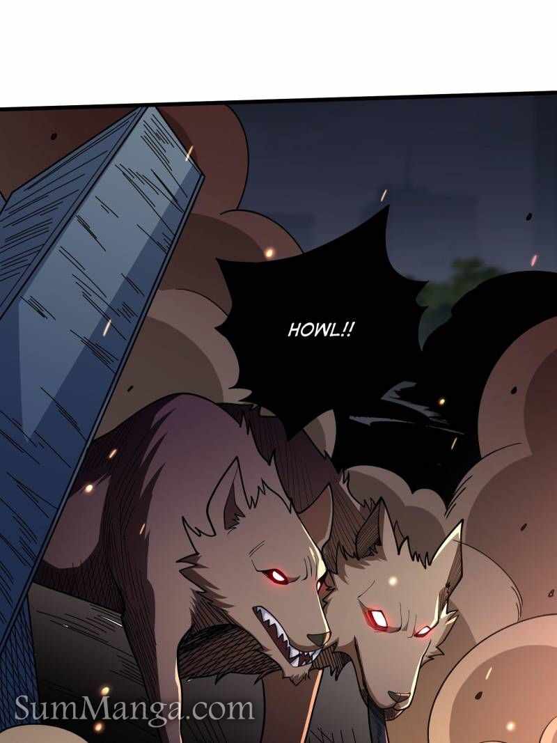 41