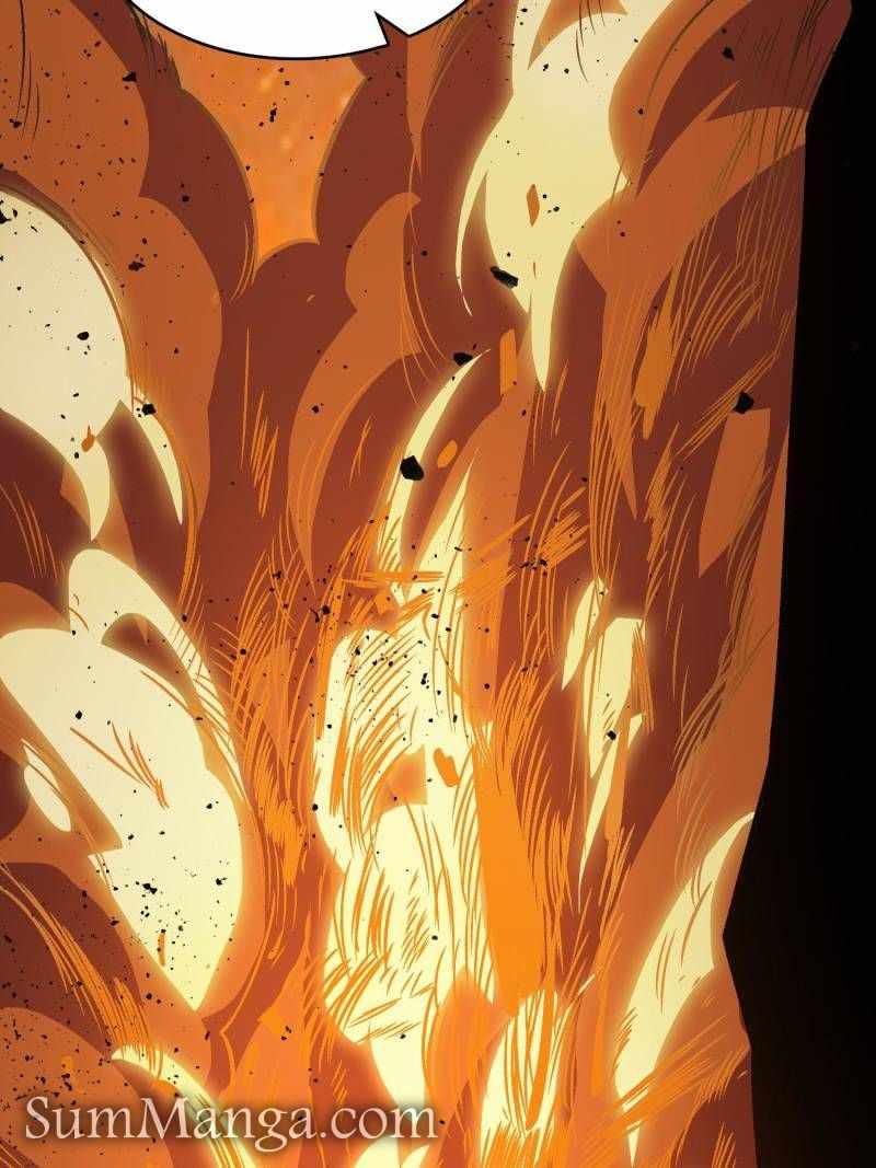 55