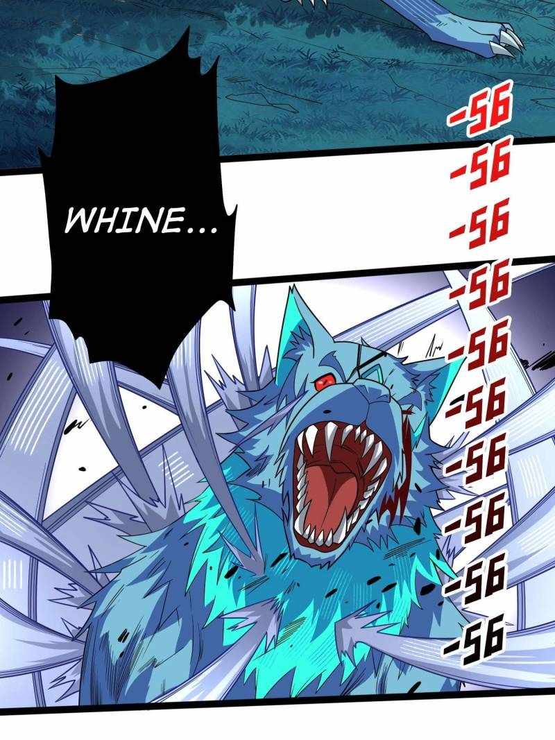 43