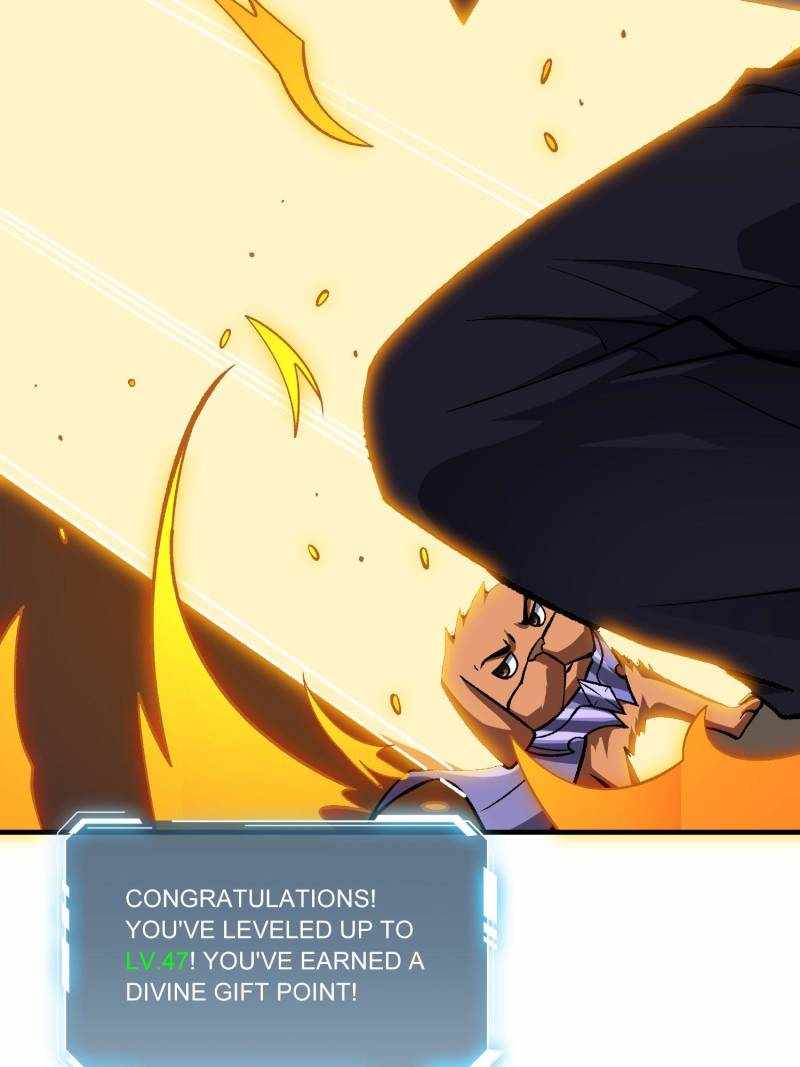 43