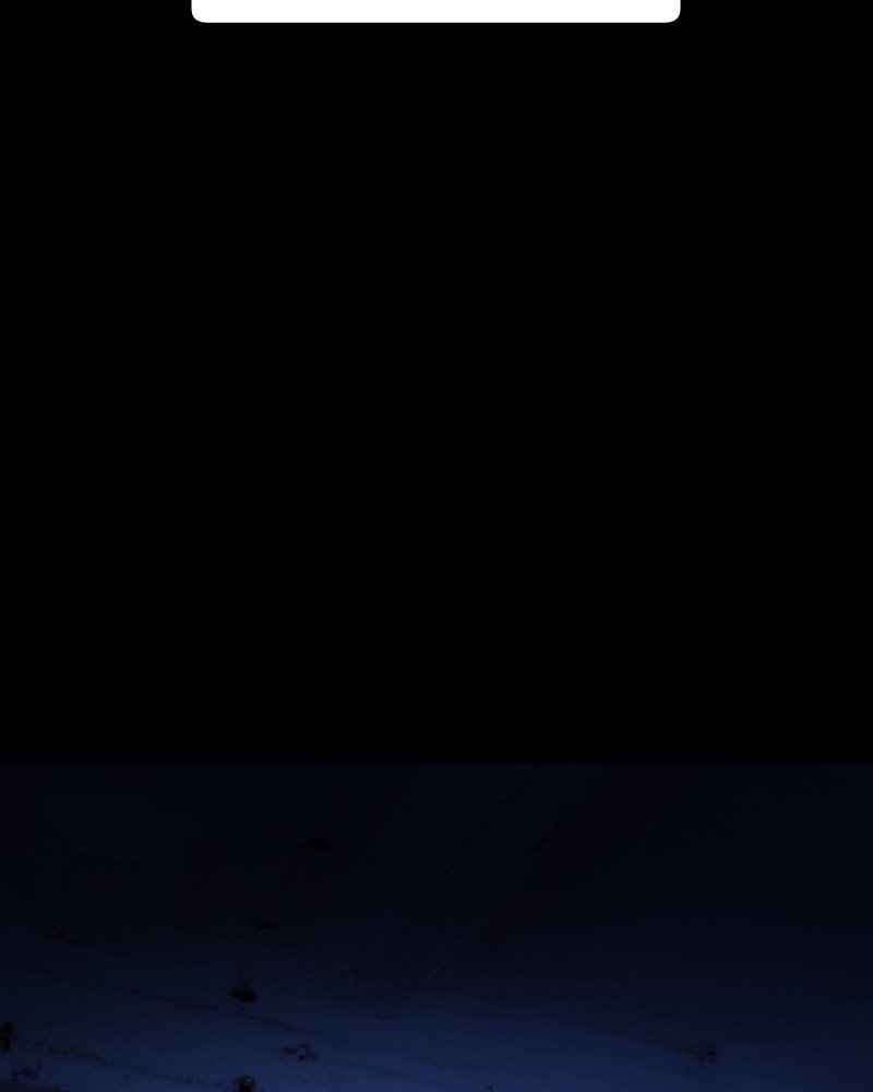 121