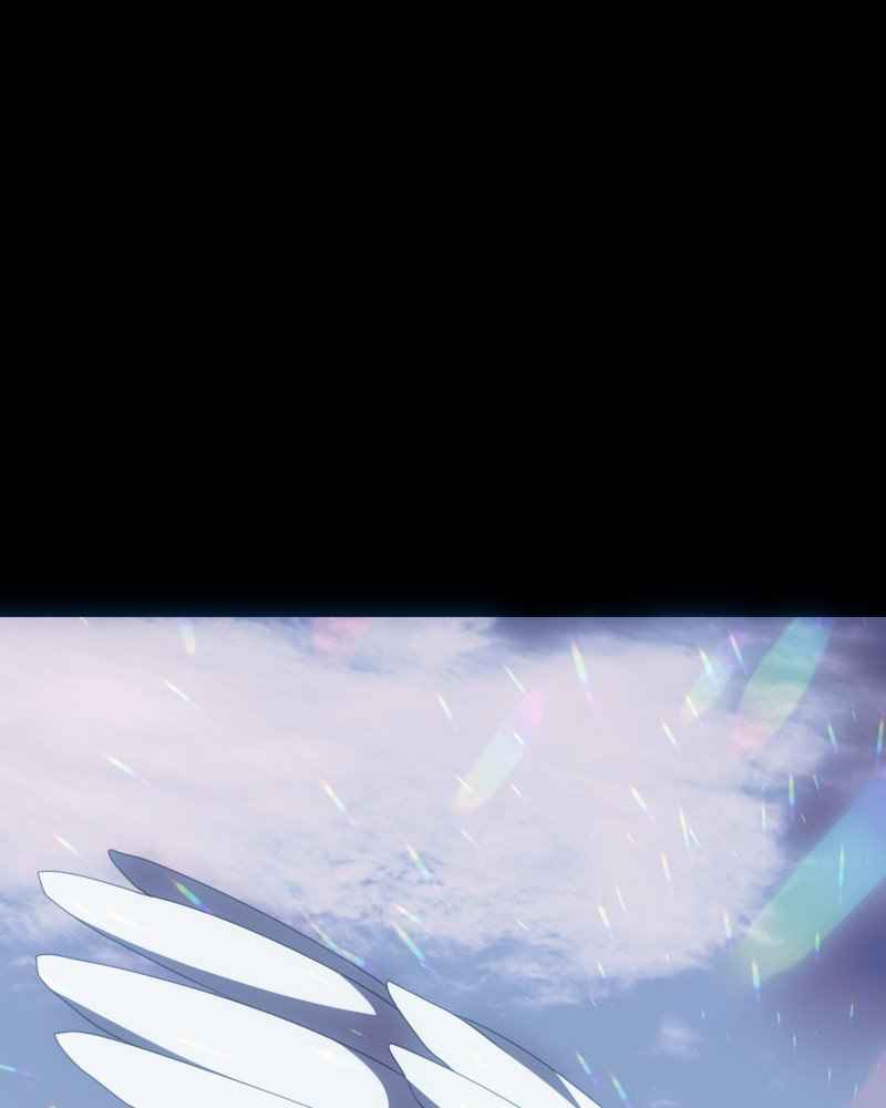 244