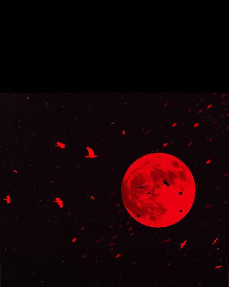 76