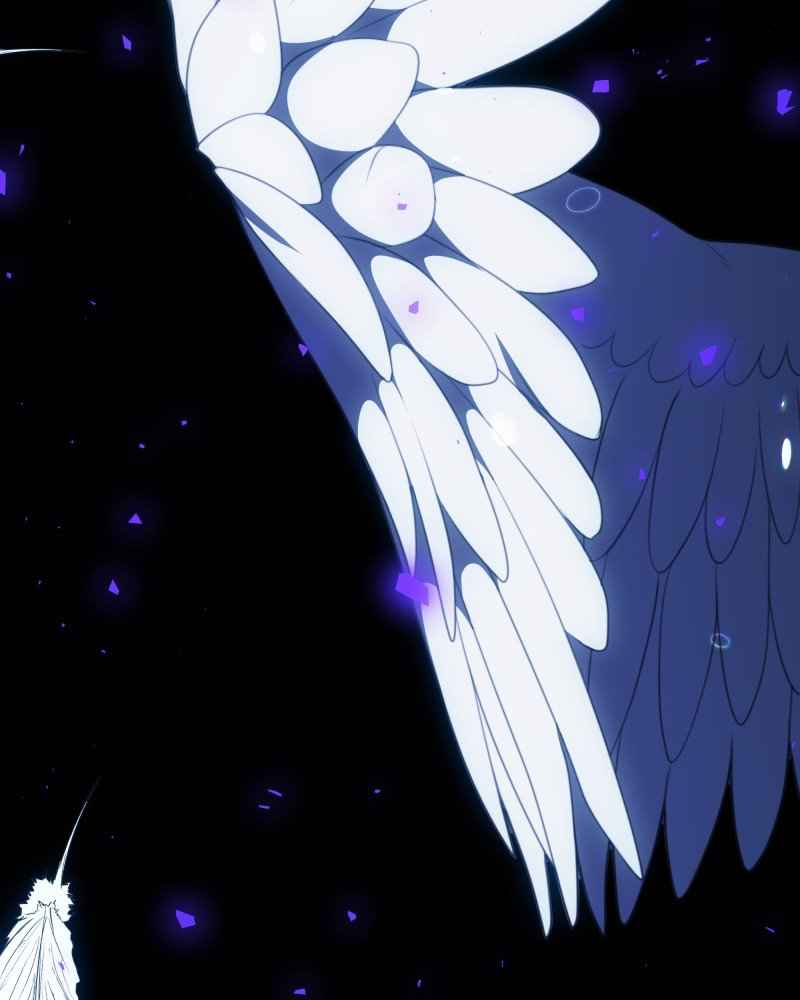 241