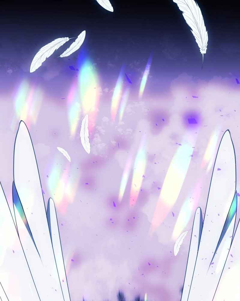 244