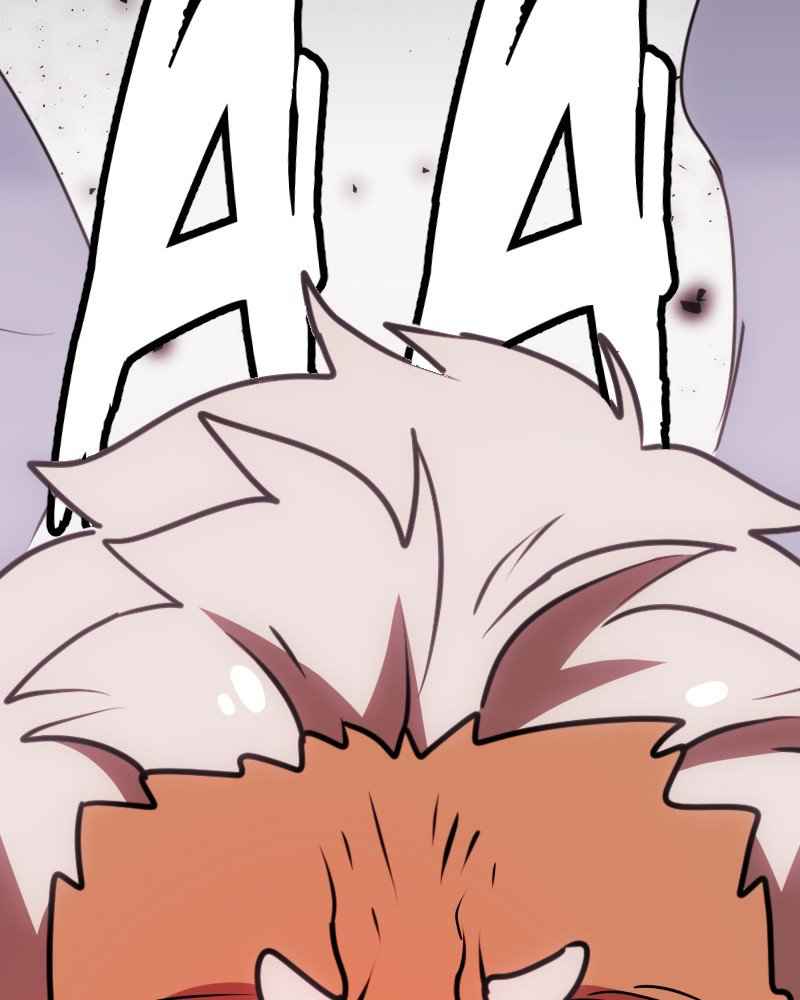 81