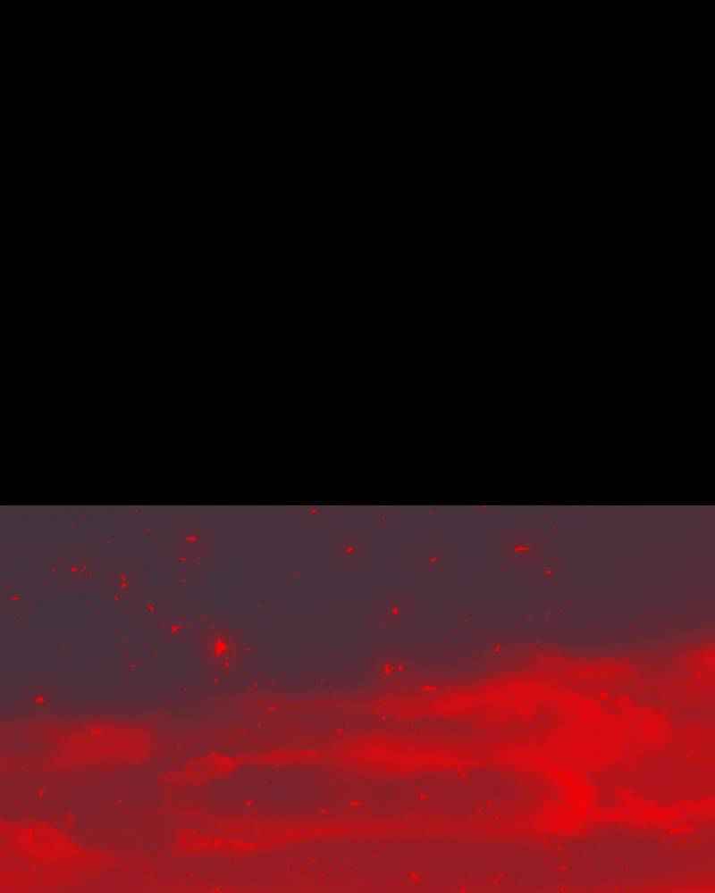 81