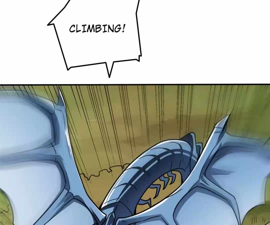 74