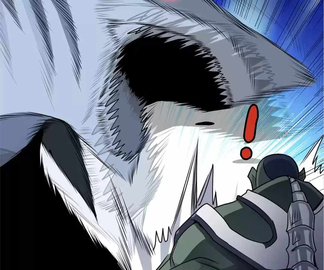 43