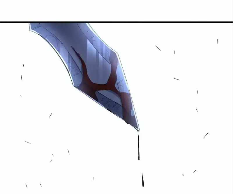 81