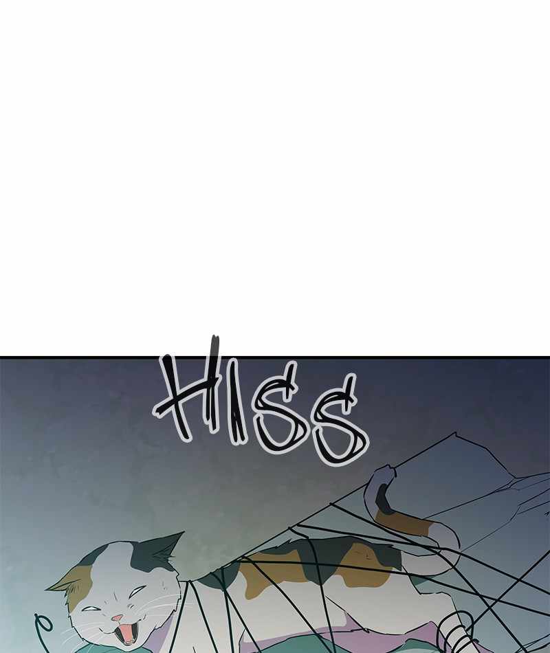 68