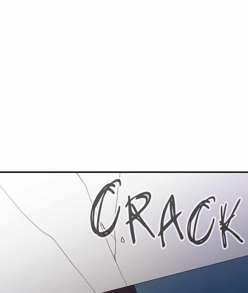 81