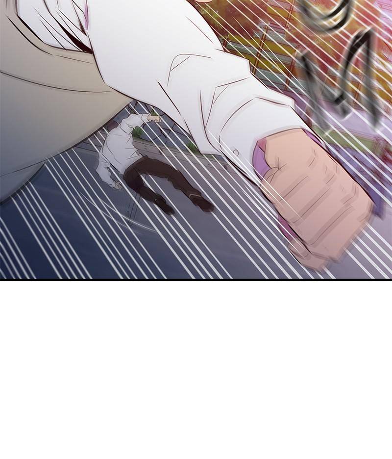81