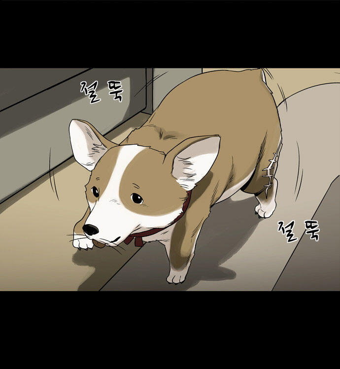 40