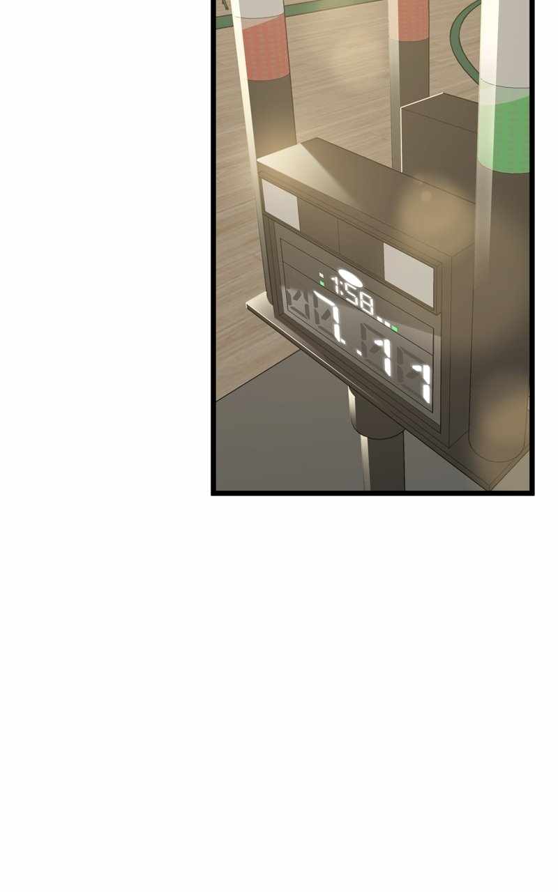 81