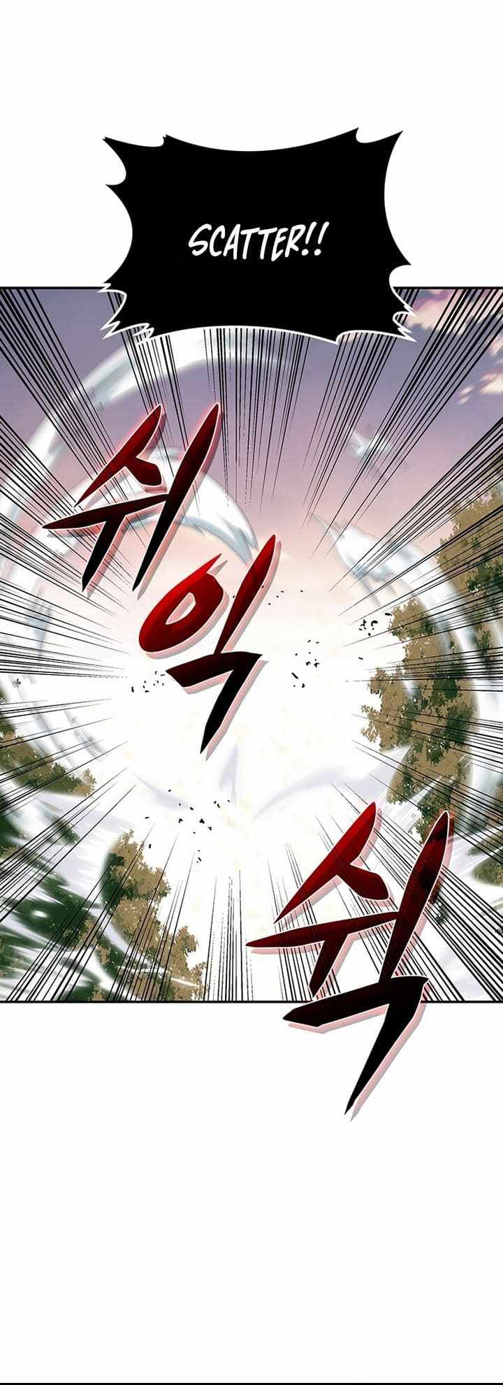 81
