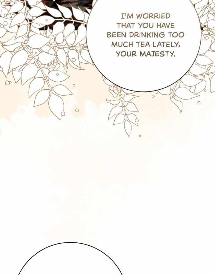 81