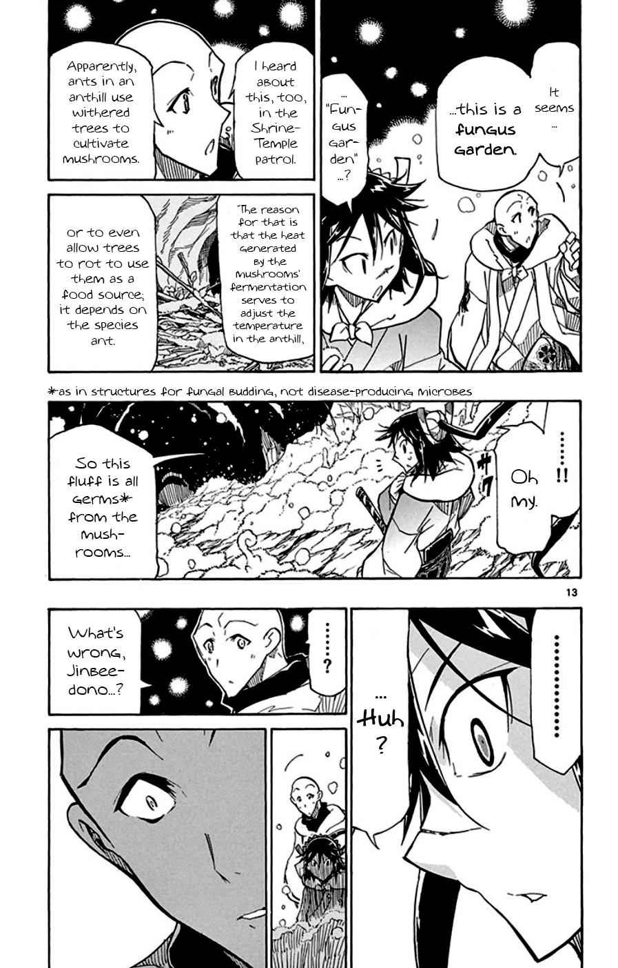 13