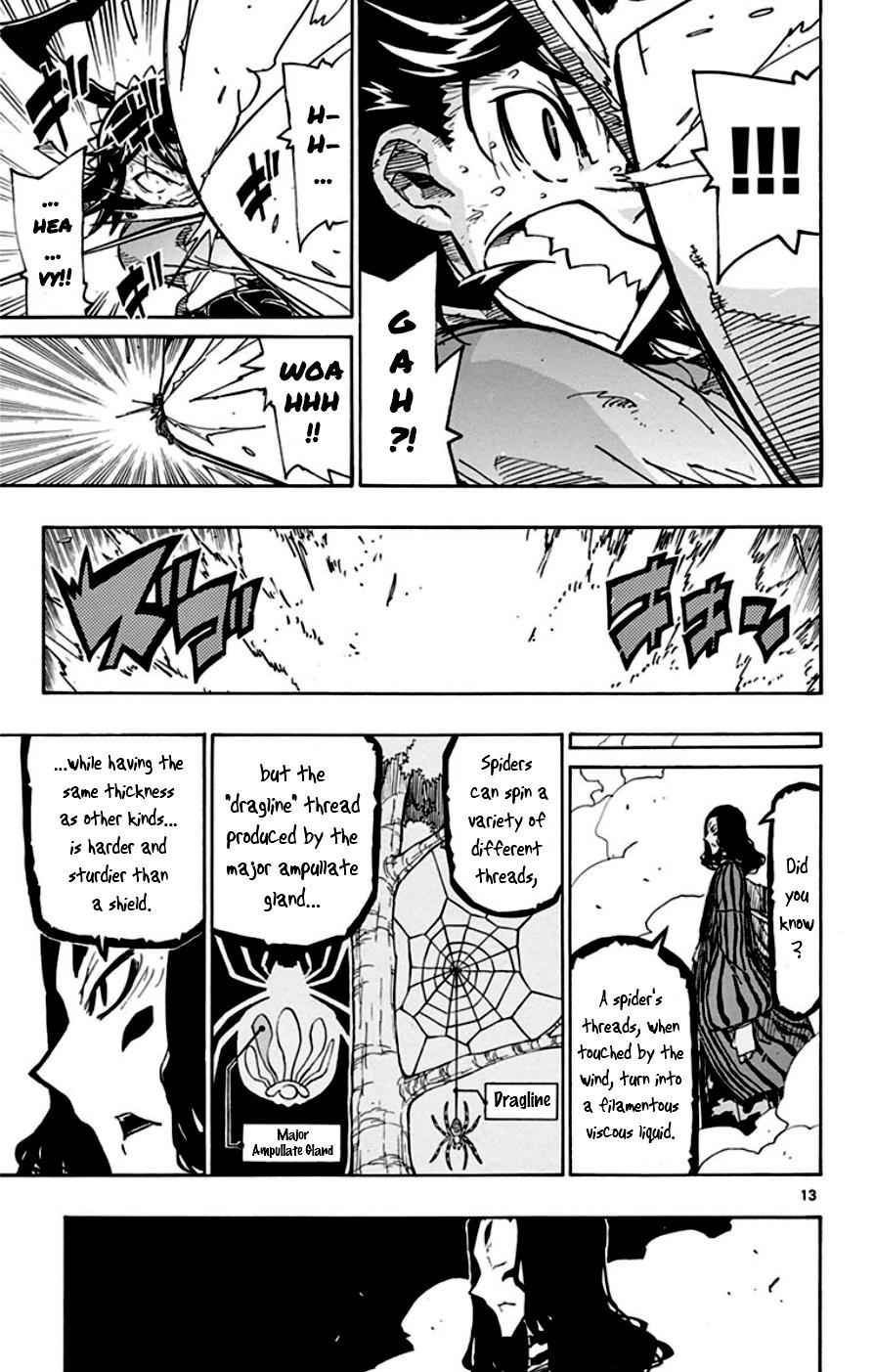 13