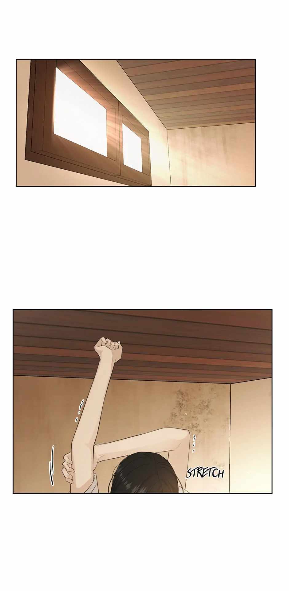 55