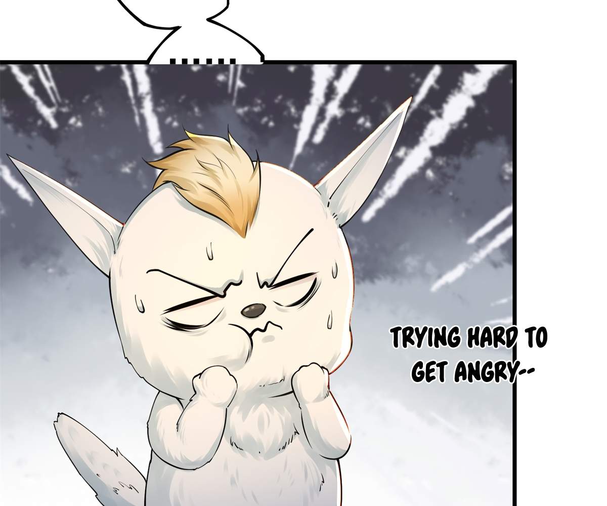 51