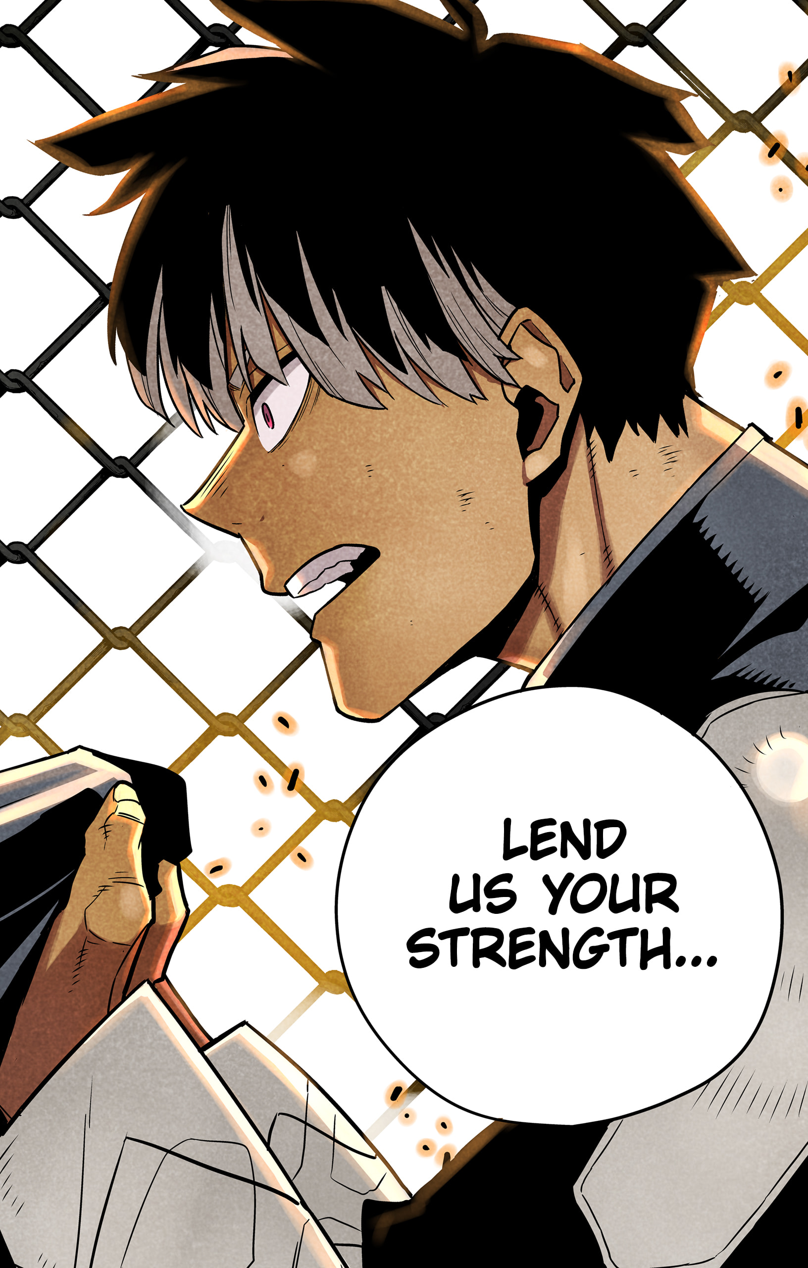 20