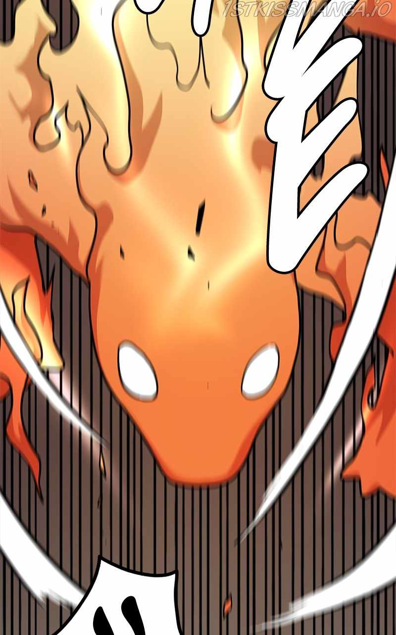 65