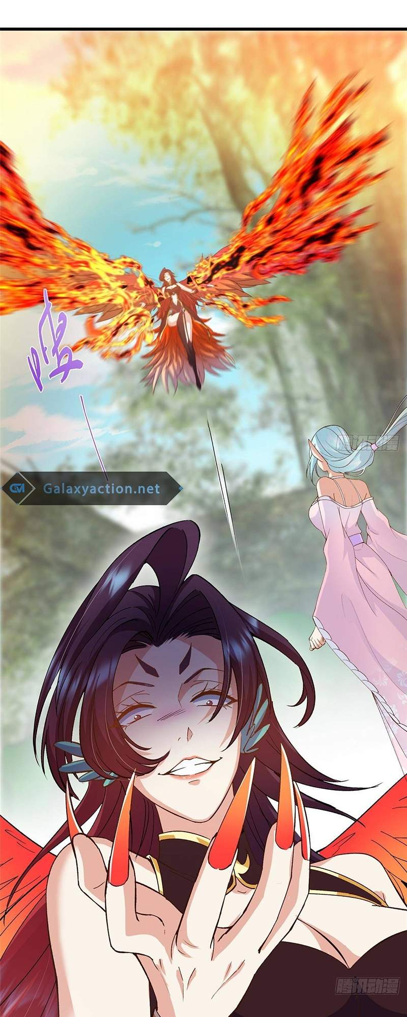 23