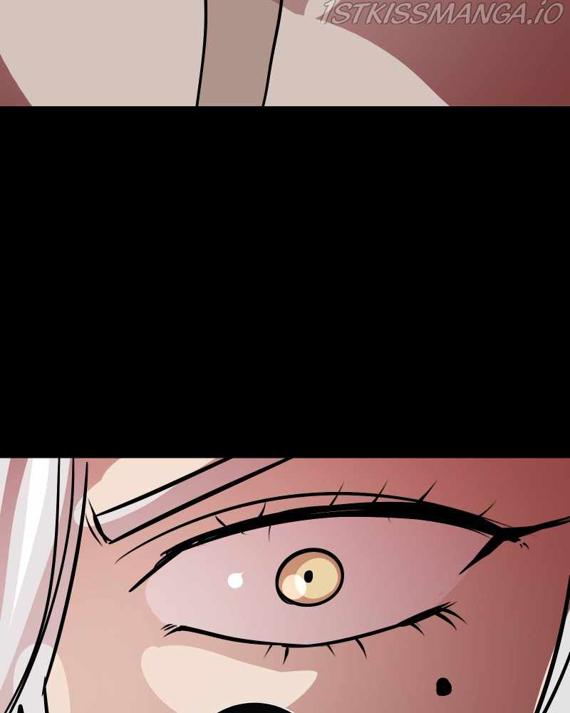 81