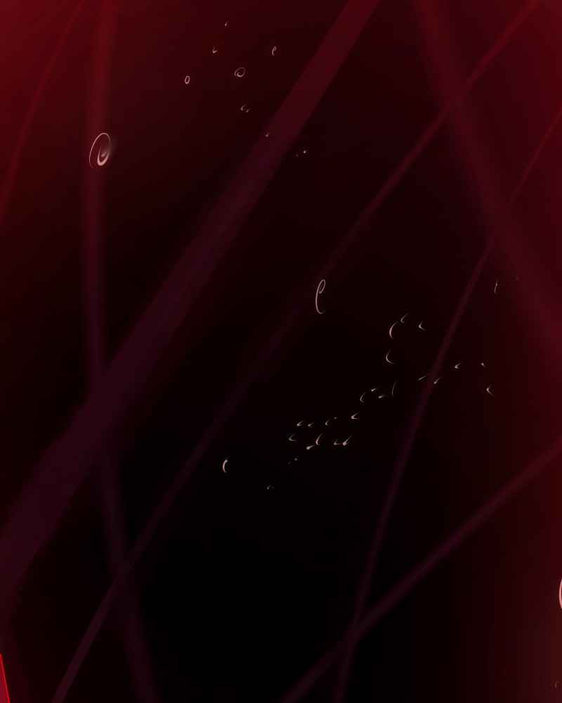 81