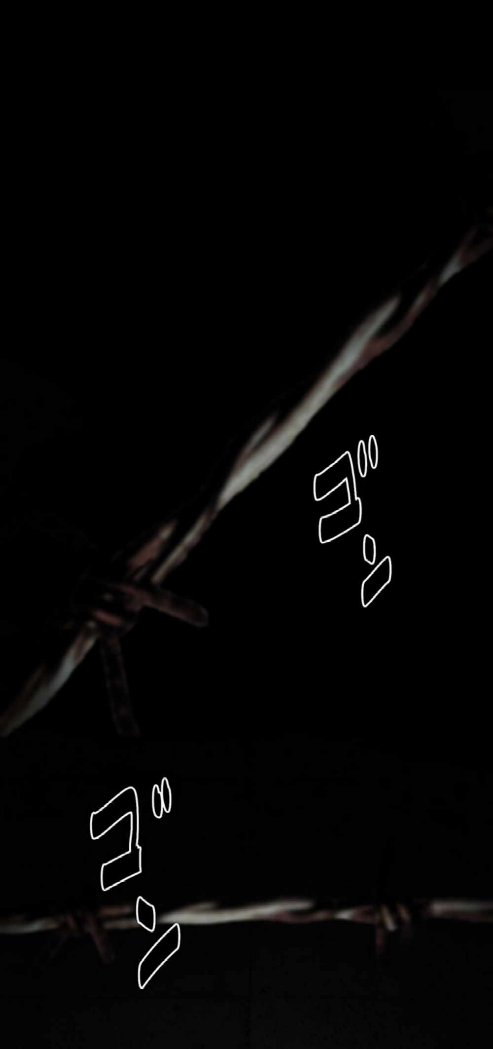 80