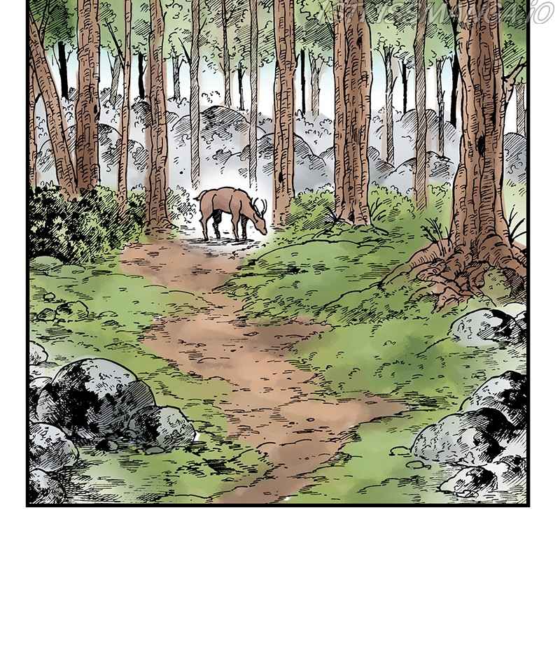 49