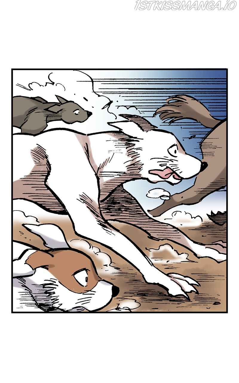 41