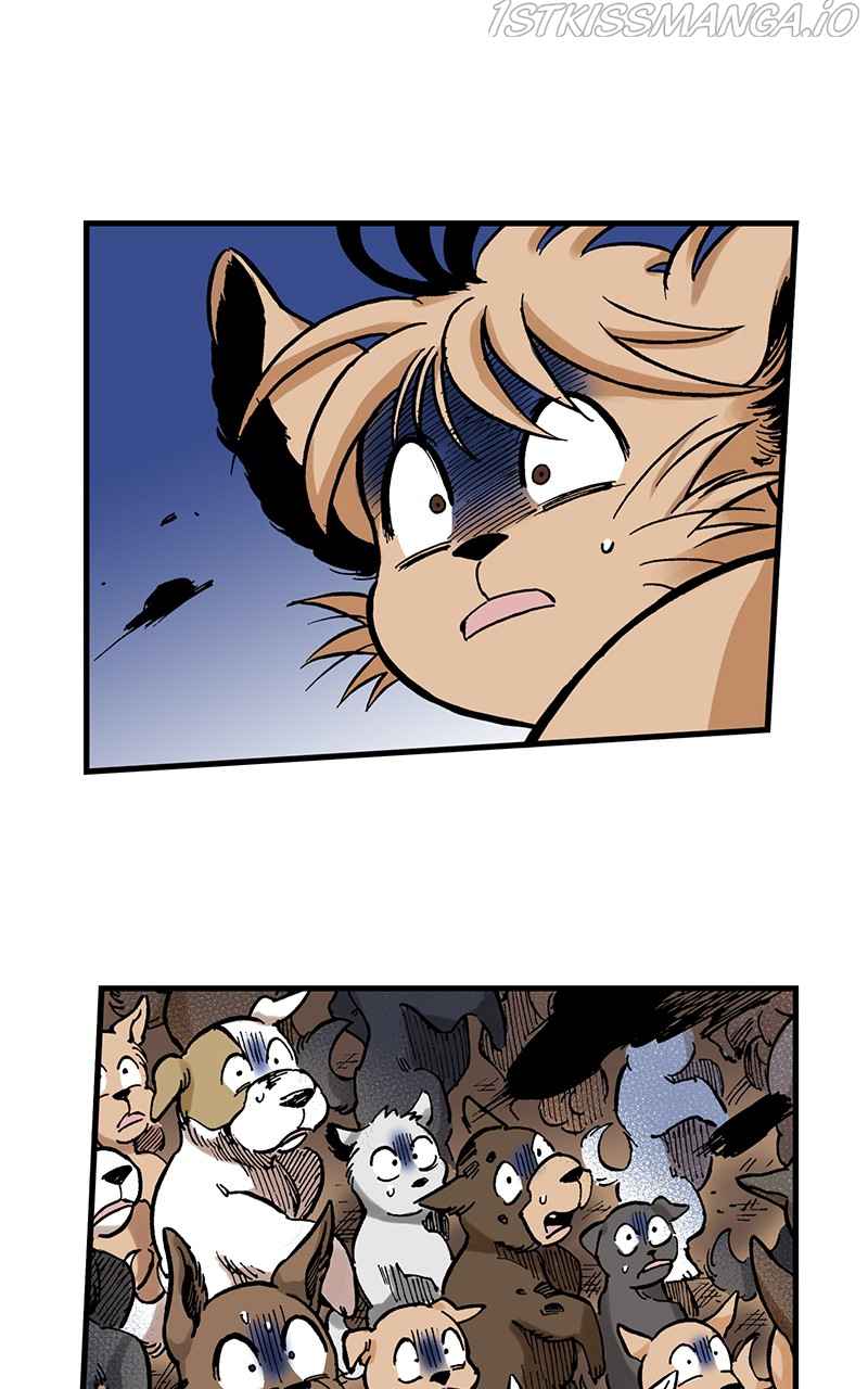 40