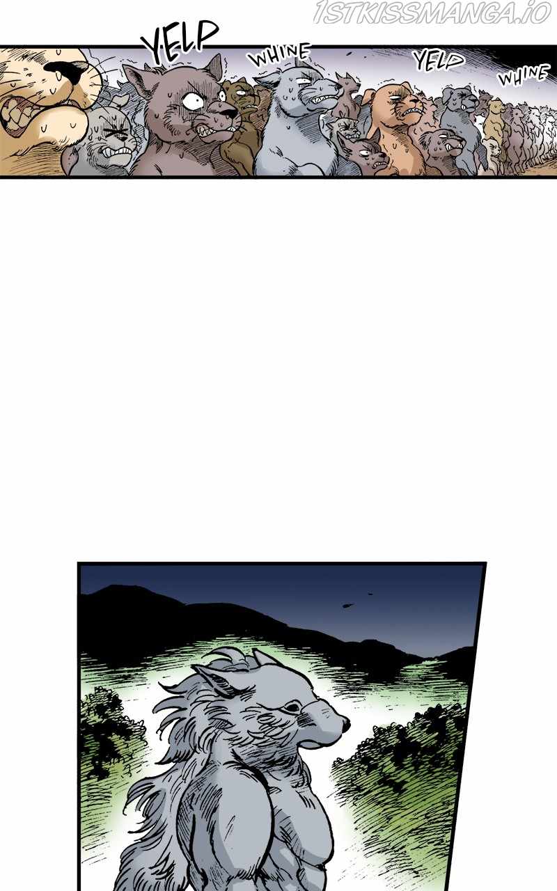 43