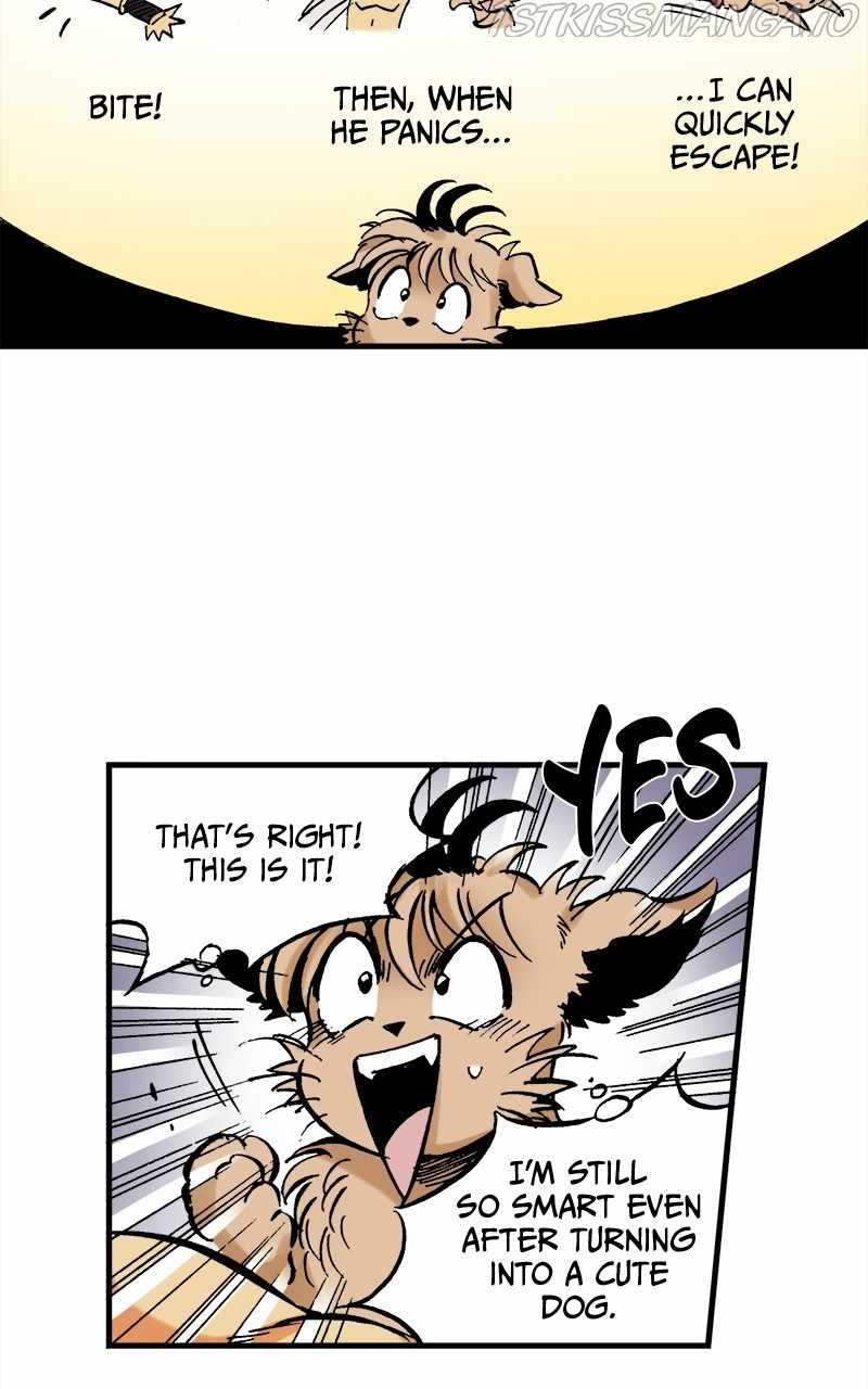 29