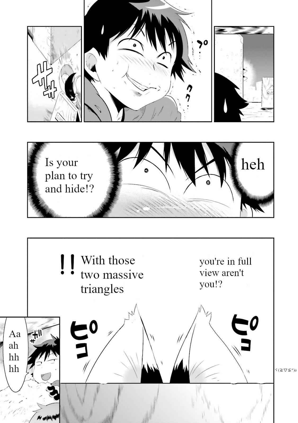 41
