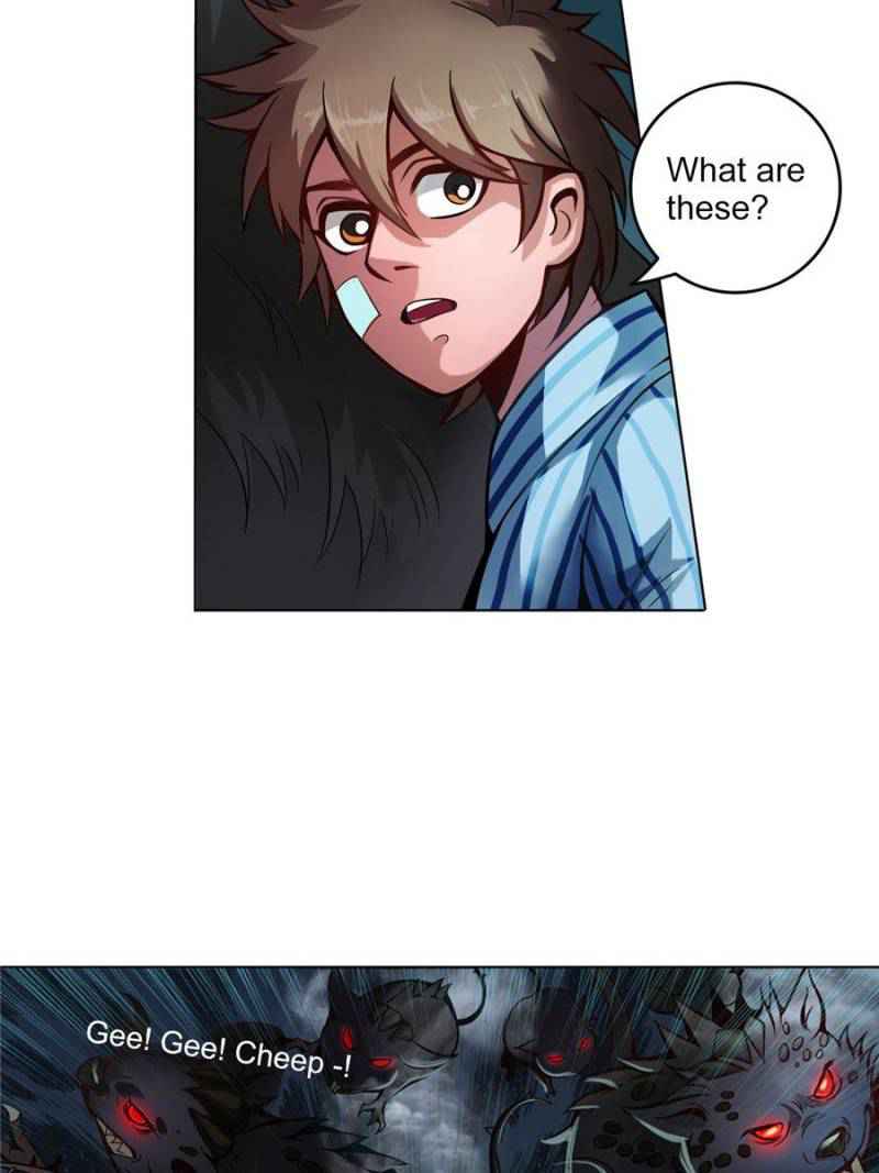 21