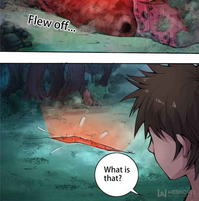 41