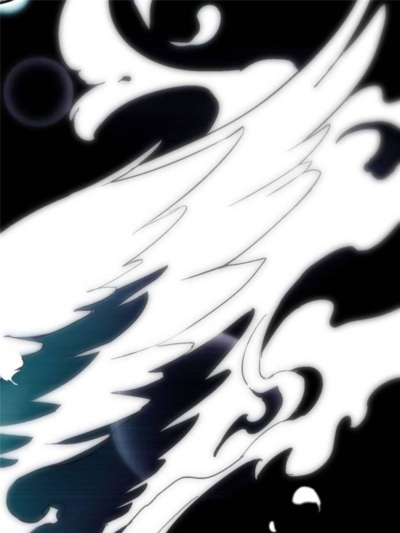 81