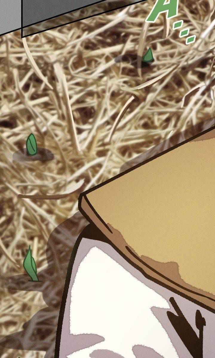 131