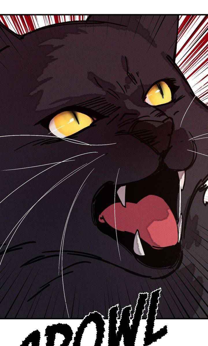 146