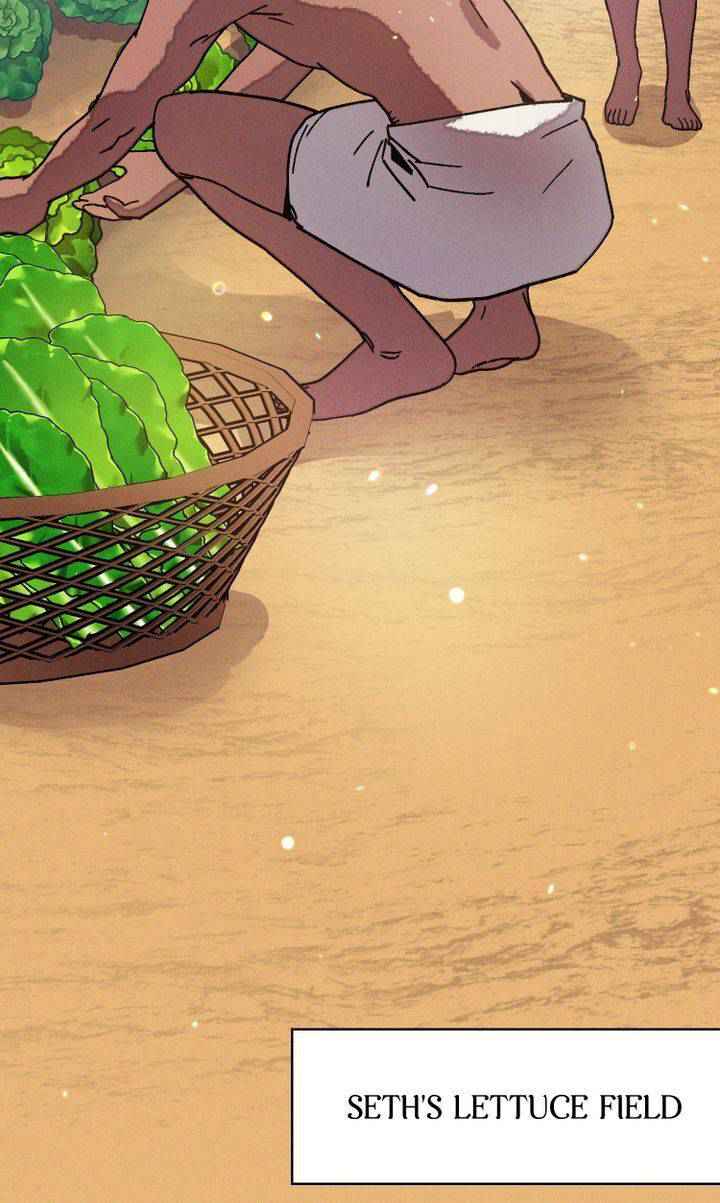 81