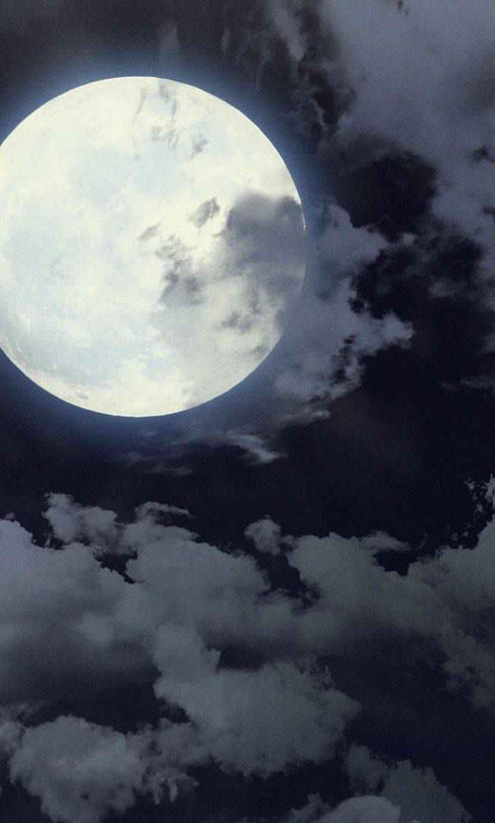 73
