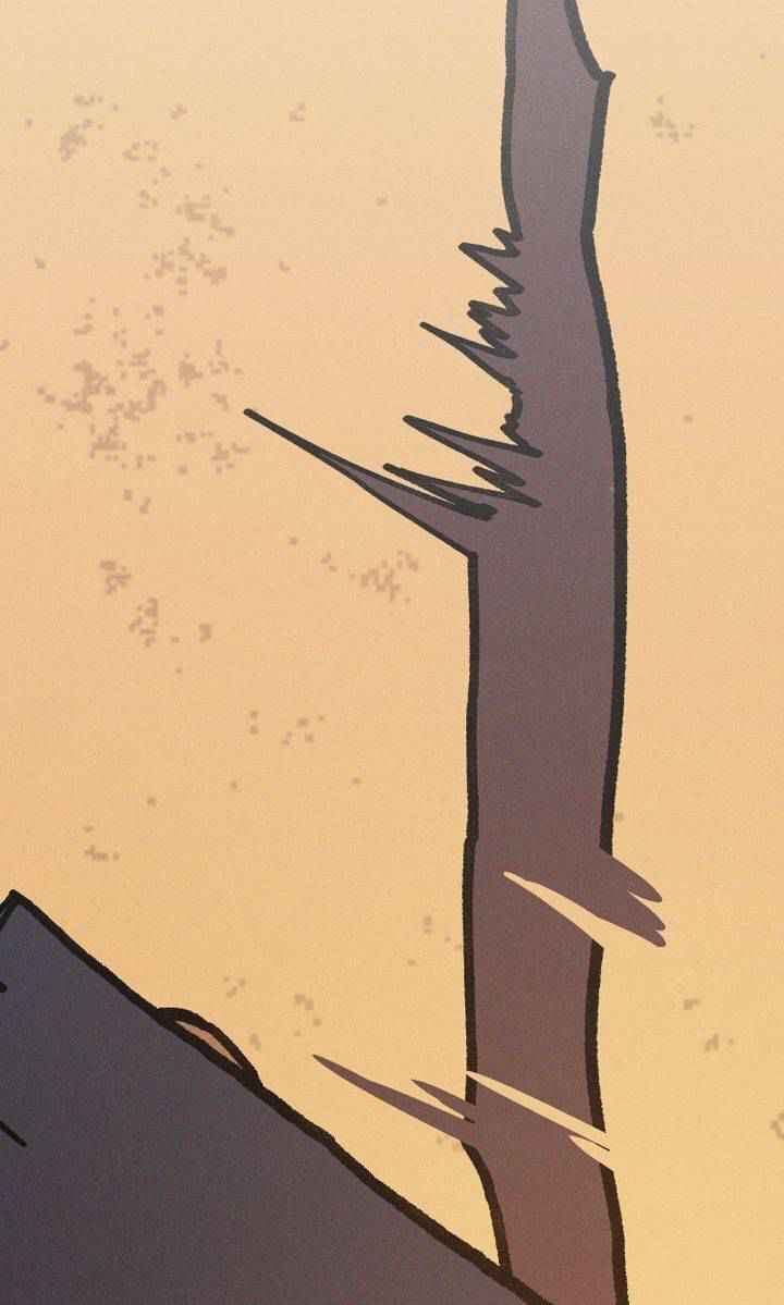 66