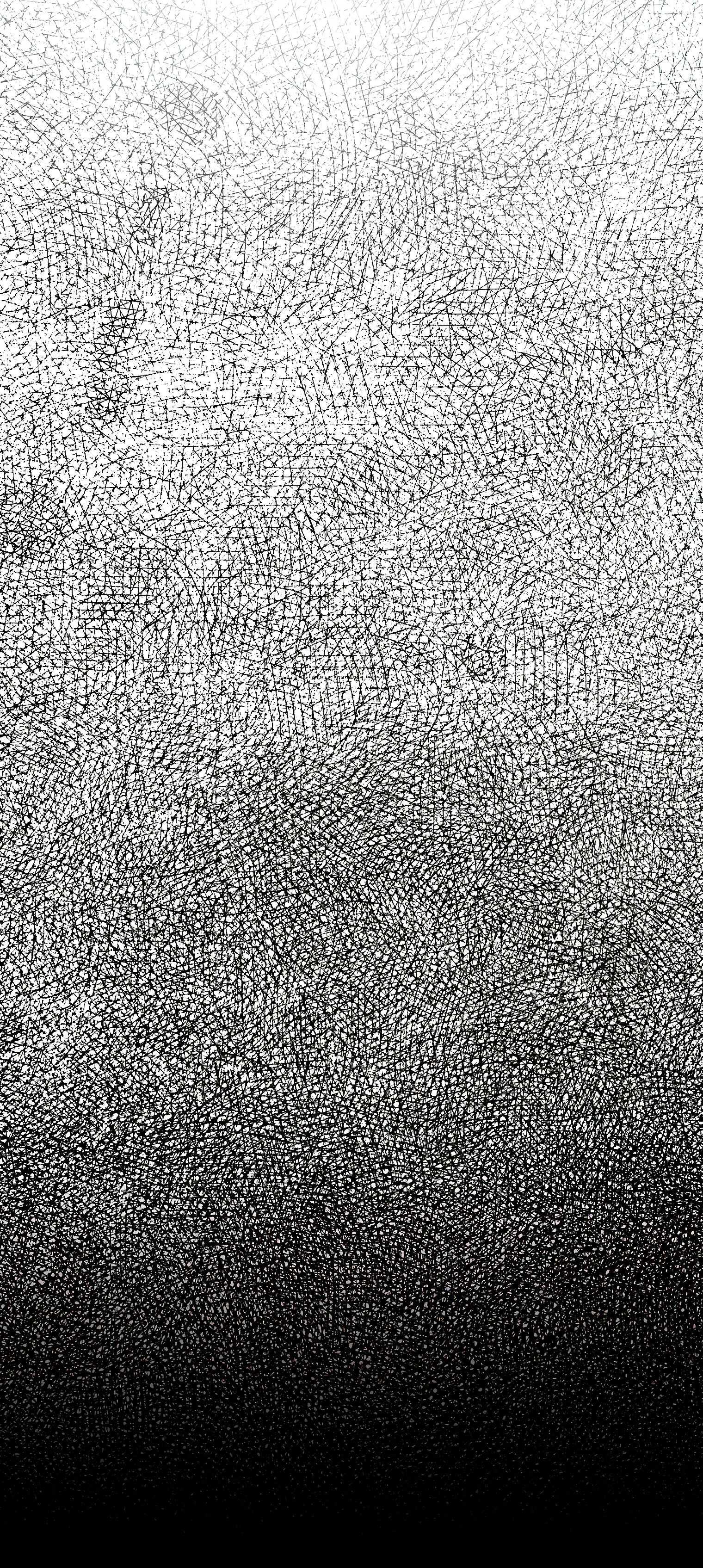 113